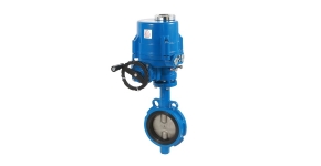 Electric butterfly valve