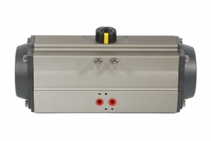 Pneumatic actuator
