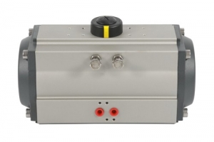 At pneumatic actuator