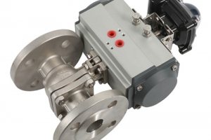 Pneumatic valve