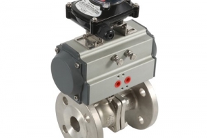 Pneumatic valve