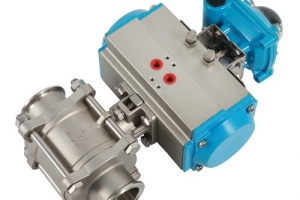 Pneumatic valve