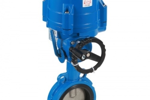 How to maintain the pneumatic valve?