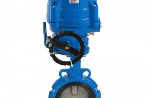 Electric butterfly valve