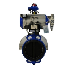 Expansion butterfly valve