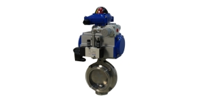 Pneumatic quick installation butterfly valve