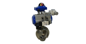 Pneumatic quick installation butterfly valve