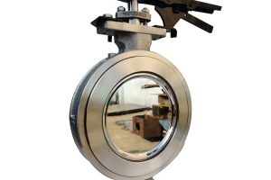 Semiconductor specific butterfly valve