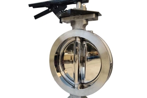 Semiconductor specific butterfly valve