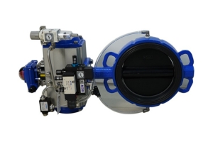 Expansion butterfly valve
