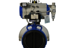 Expansion butterfly valve