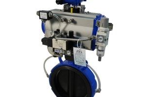 Expansion butterfly valve