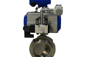 Pneumatic quick installation butterfly valve