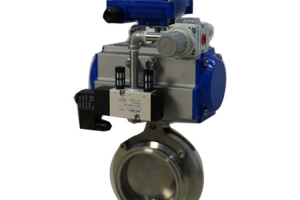 Pneumatic quick installation butterfly valve