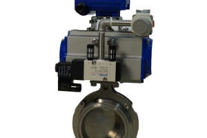 Pneumatic quick installation butterfly valve